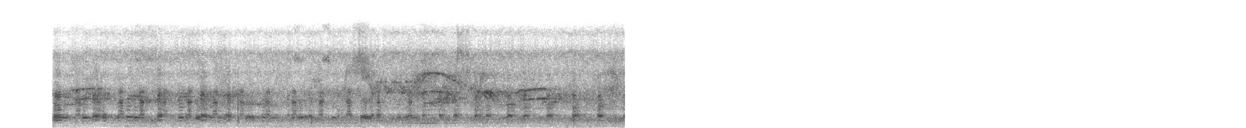 Western Cattle-Egret - ML619637249