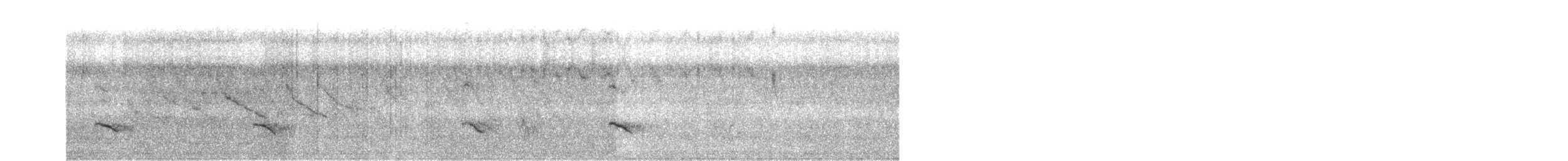 White-tailed Kite - ML619637277