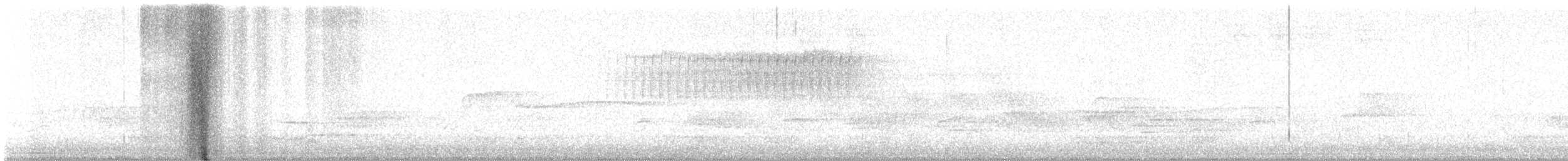 Paruline vermivore - ML619637754