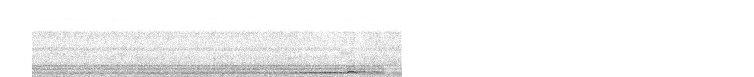 Tropical Screech-Owl - ML619638028