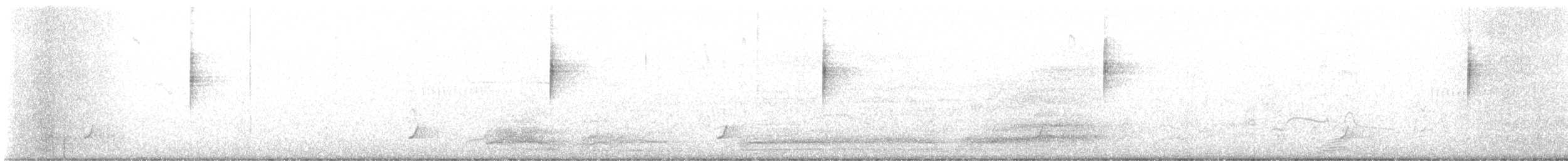 Swainson's Thrush - ML619639280