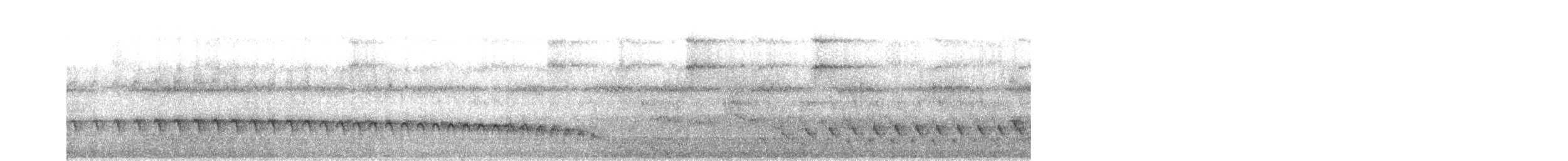 Weißstirn-Ameisenschnäpper - ML619640437