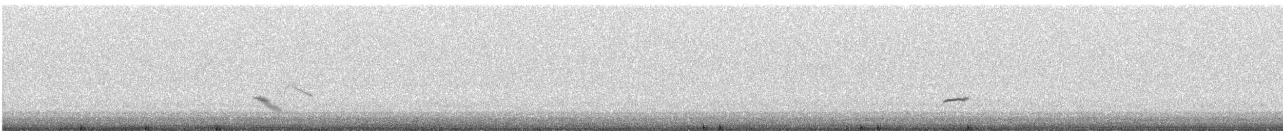Дрізд-короткодзьоб малий - ML619640446