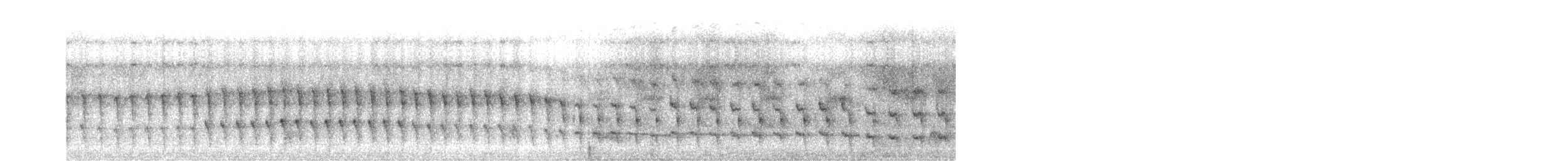 Buff-throated Woodcreeper - ML619640471