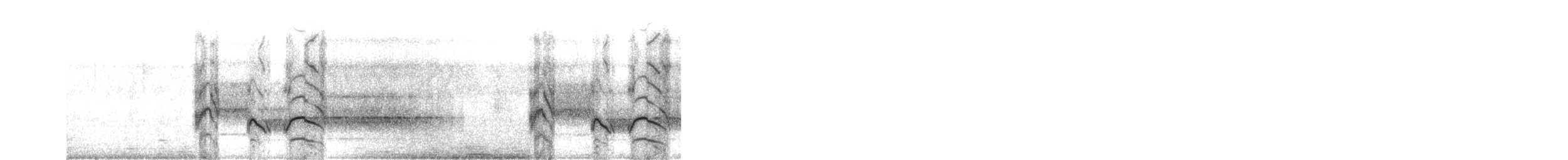 Great Kiskadee - ML619640813