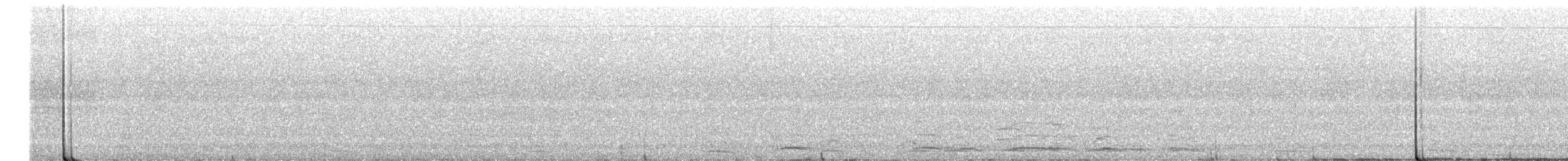 Cygne siffleur - ML619641249