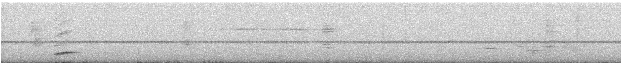 Поплітник плямистий - ML619641279
