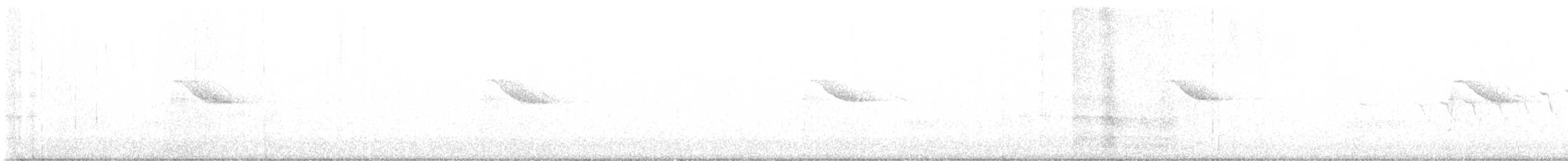 Дрізд-короткодзьоб канадський - ML619641574