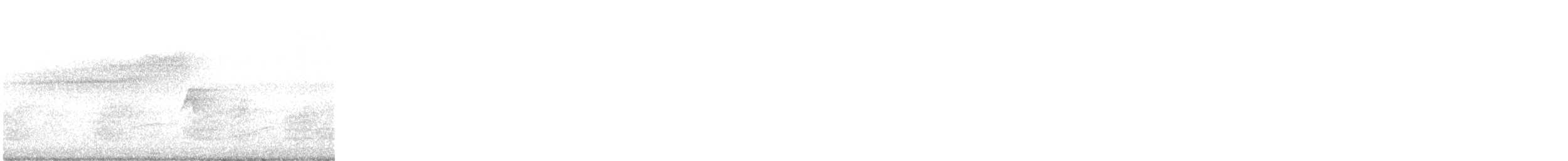 Northern Parula - ML619641812