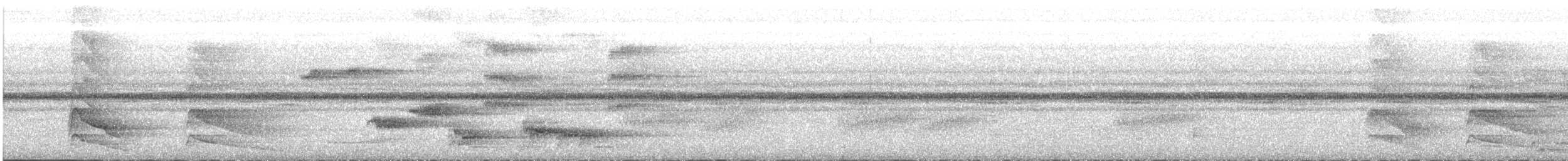 Bar-bellied Pitta - ML619642209