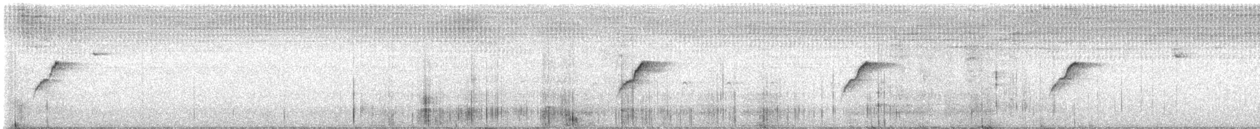 Batı Amerika Sinekkapanı (occidentalis/hellmayri) - ML619642825