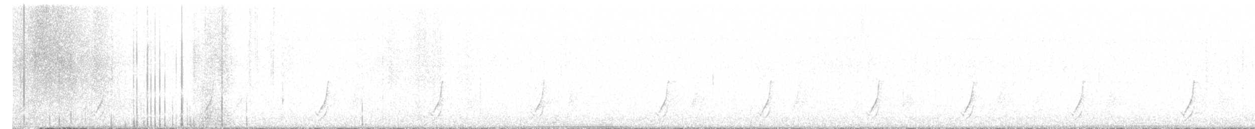 斑胸秧雞 - ML619642972