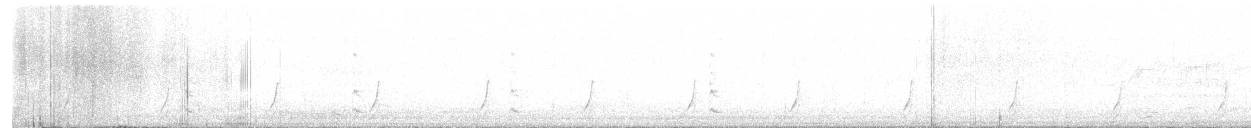斑胸秧雞 - ML619642973