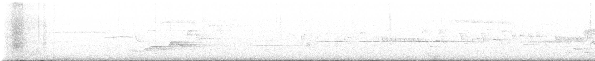 Дрізд-короткодзьоб Cвенсона - ML619643643