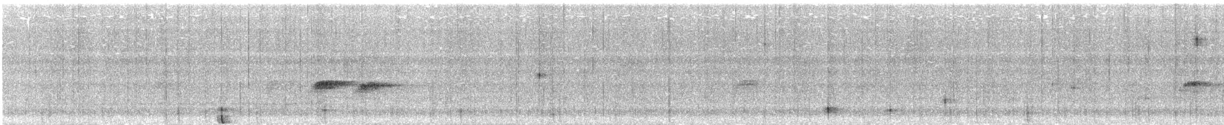 Méliphage bruyant - ML619645047