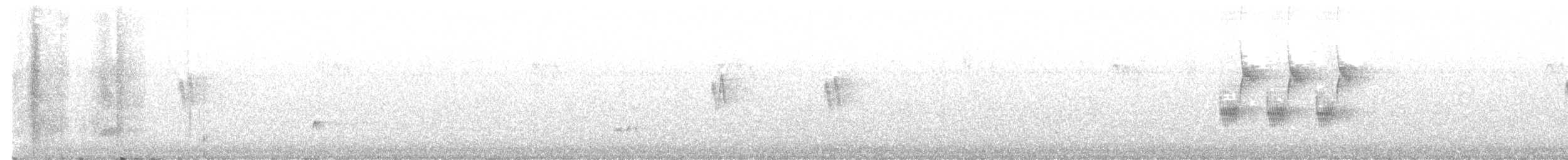 Тауї плямистий - ML619645414