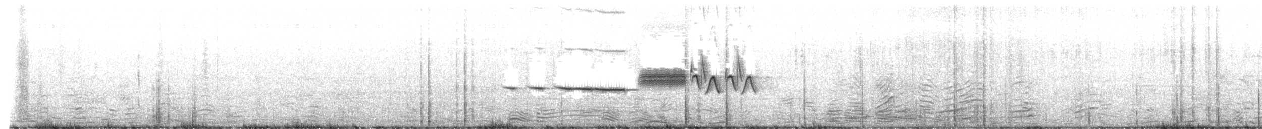 hvitkronespurv (nuttalli) - ML619645552