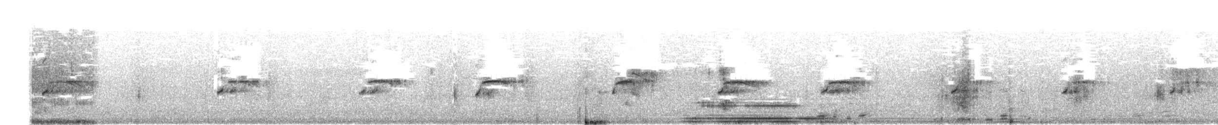 紐澳紅嘴鷗 - ML619649222