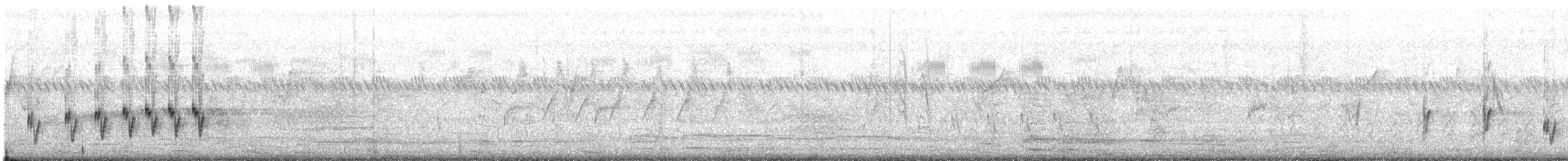 Streifenbuschsänger - ML619649413