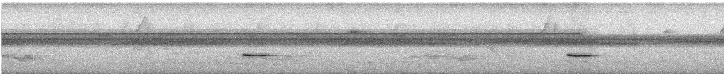Troglodyte siffleur - ML619652273