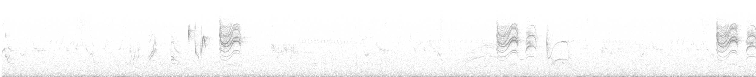 Blaumückenfänger [obscura-Gruppe] - ML619652767