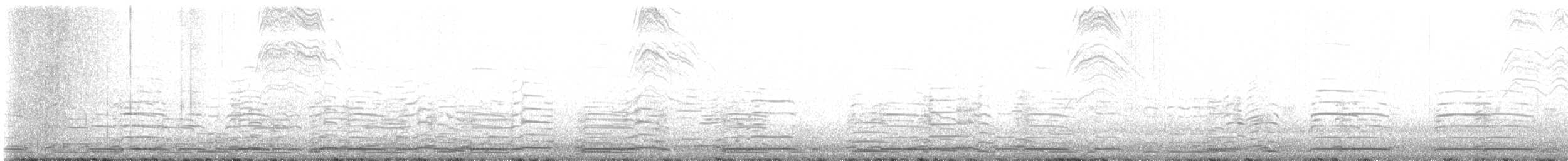 Beltxarga oihularia - ML619653197