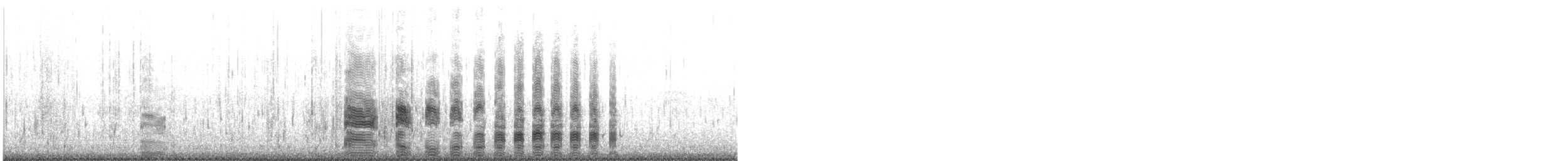 Albatros à sourcils noirs (melanophris) - ML619653406