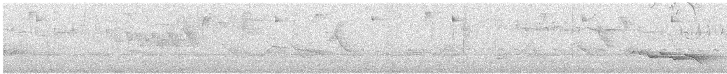 Kara Gagalı Koca Vireo - ML619653713