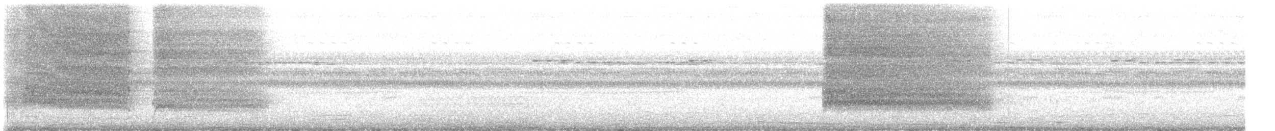 Сипуха крапчаста [група tuidara] - ML619653909