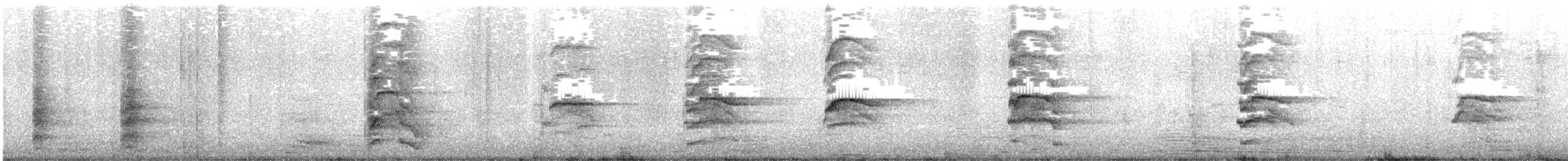 紐澳紅嘴鷗 - ML619654174
