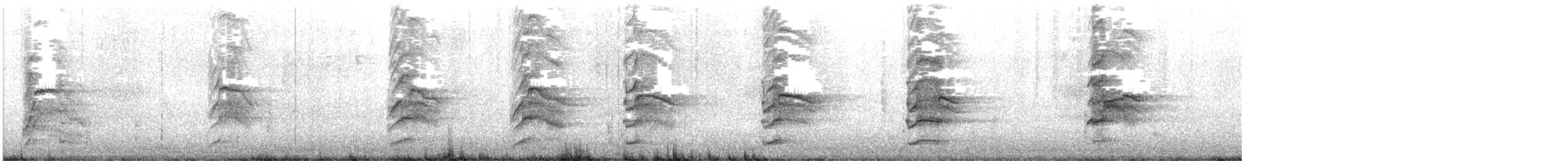紐澳紅嘴鷗 - ML619654177