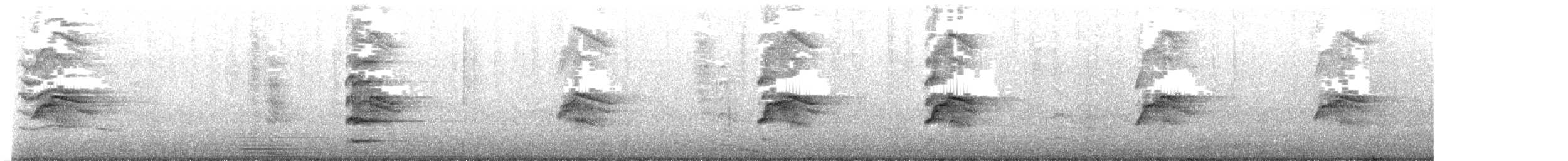 紐澳紅嘴鷗 - ML619654184