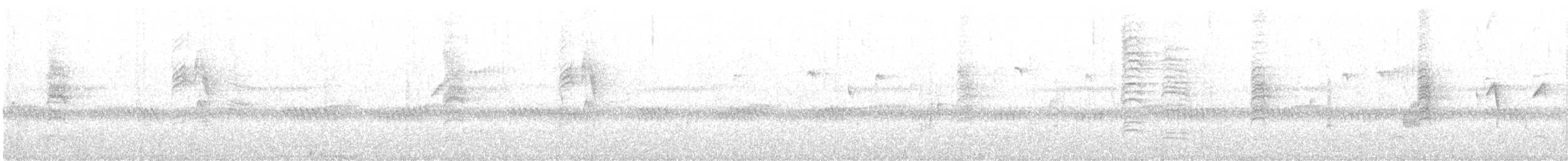 Ak Karınlı Kasapkuşu - ML619655430