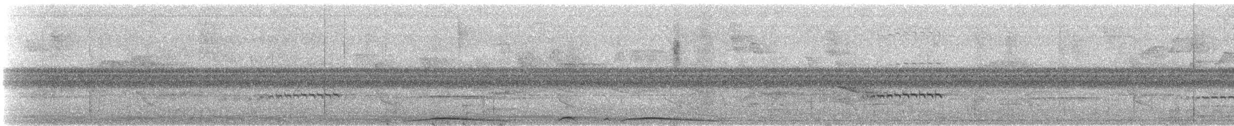 holub neotropický - ML619655861