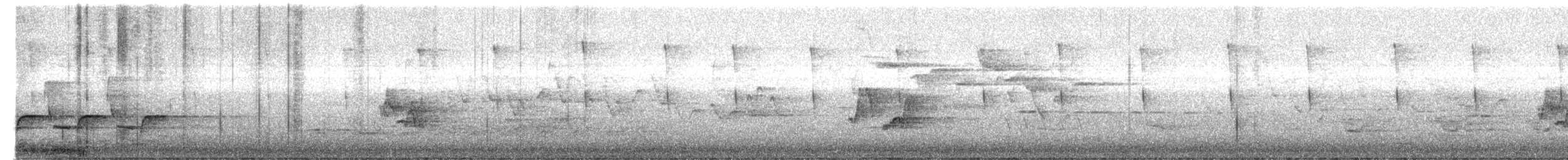 Поплітник каролінський - ML619656248