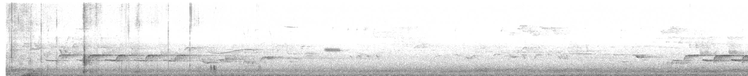 Поплітник каролінський - ML619656249