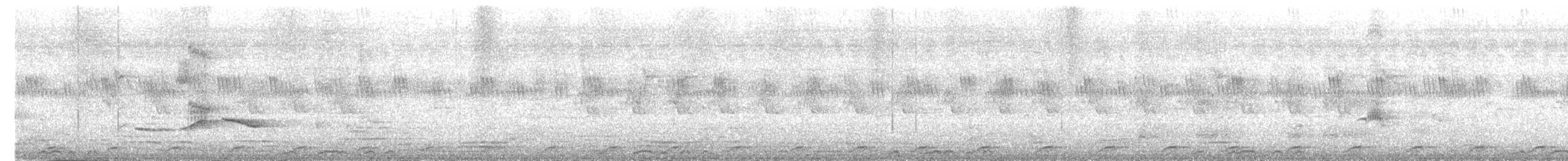 白腹秧雞 - ML619656406
