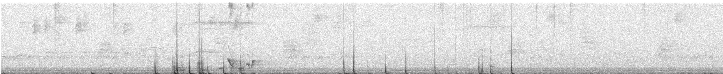 Kara Karınlı Çıtkuşu - ML619656528