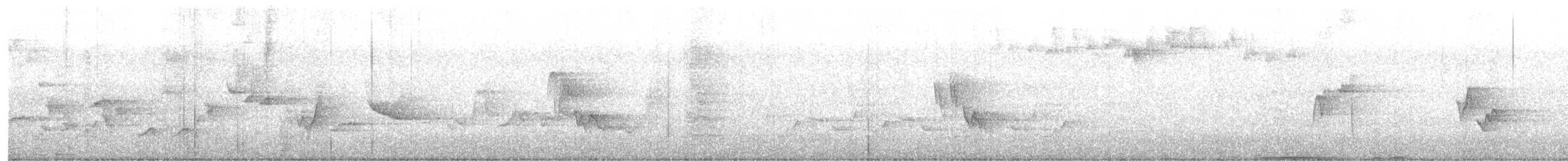 Paruline rayée - ML619657862
