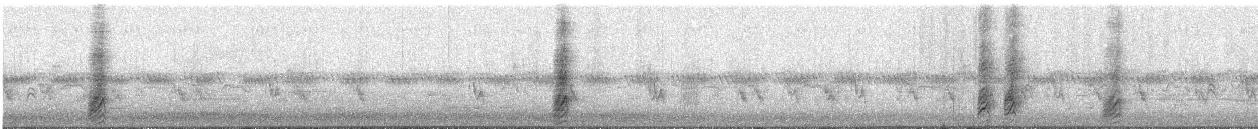Kara Gagalı Saksağan - ML619660206