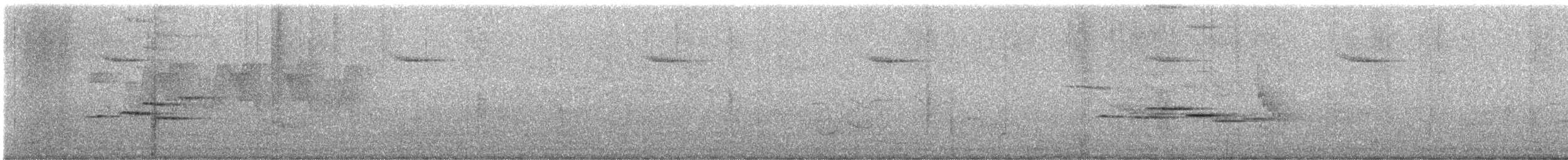 Myiomèle à queue blanche - ML619660249