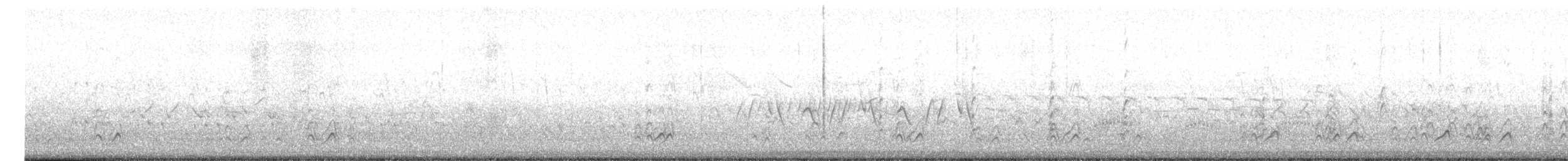 Крячок чорнодзьобий - ML619660357