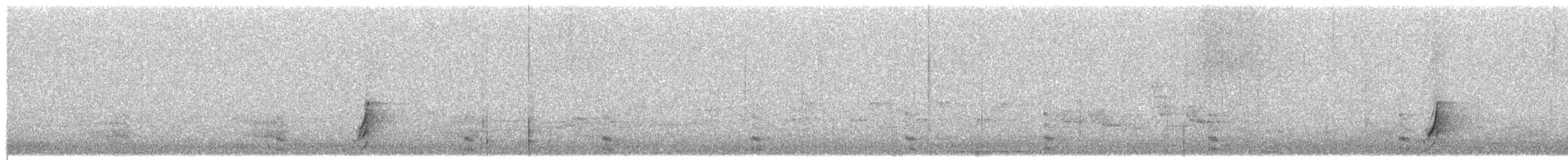 斑胸秧雞 - ML619660422