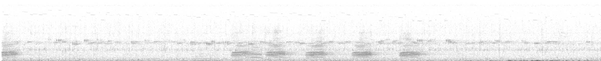 vrána černobílá - ML619660691