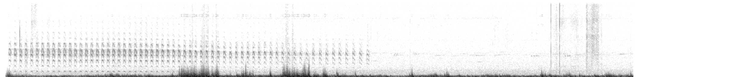 Striped Flufftail - ML619660699