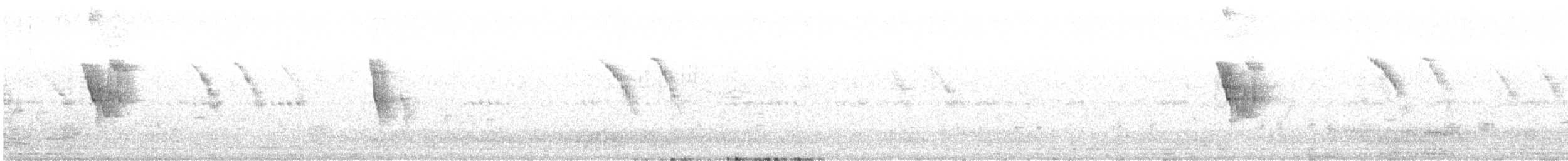 Lavandera Blanca - ML619661149
