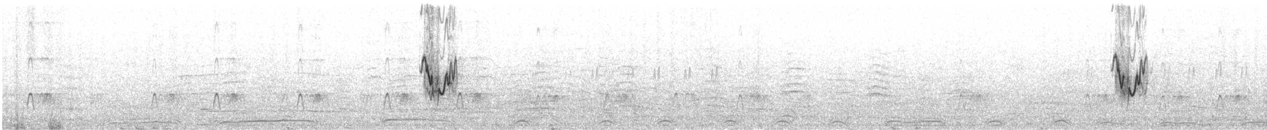 Lavandera Blanca (yarrellii) - ML619661939
