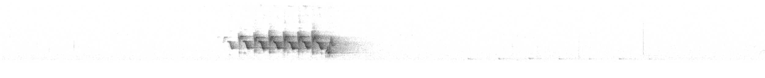Paruline à croupion jaune (coronata) - ML619662098