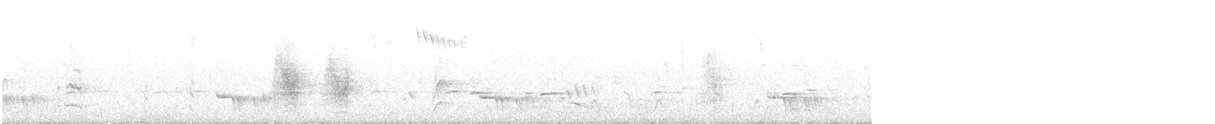 hvitnakkehonningeter - ML619663011
