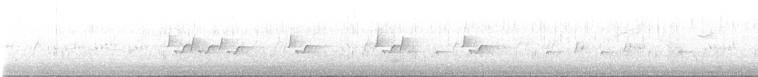 Медолюб-шилодзьоб східний - ML619663106